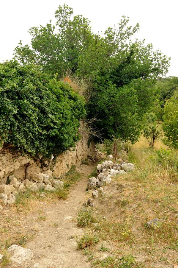 Villa Axenti Agios Thomas  Ngoại thất bức ảnh